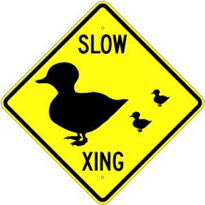 Emigrating-to-New-Zealand-ducks-crossing-road-sign